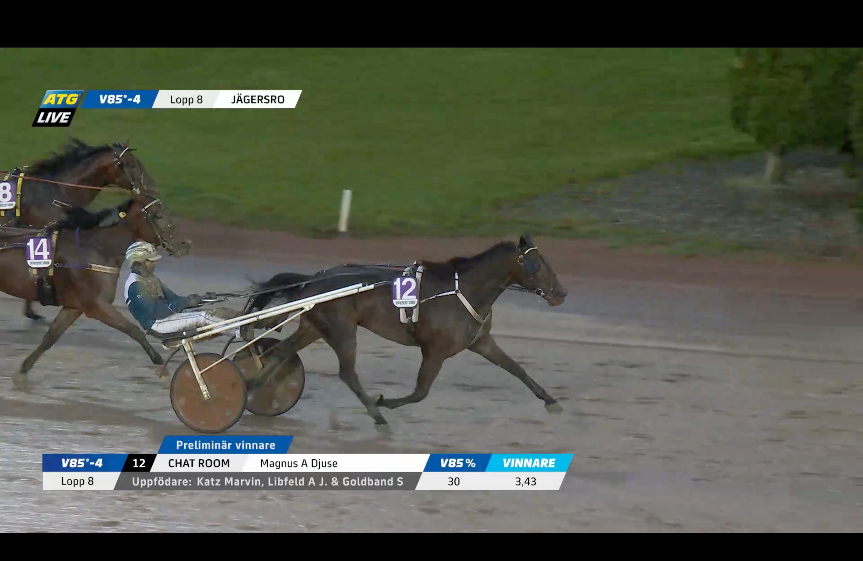 Skärmbild från en travtävling på Jägersro där en häst med nummer 12 travar i täten med en kusk i sulky. Två hästar syns bakom på banan.