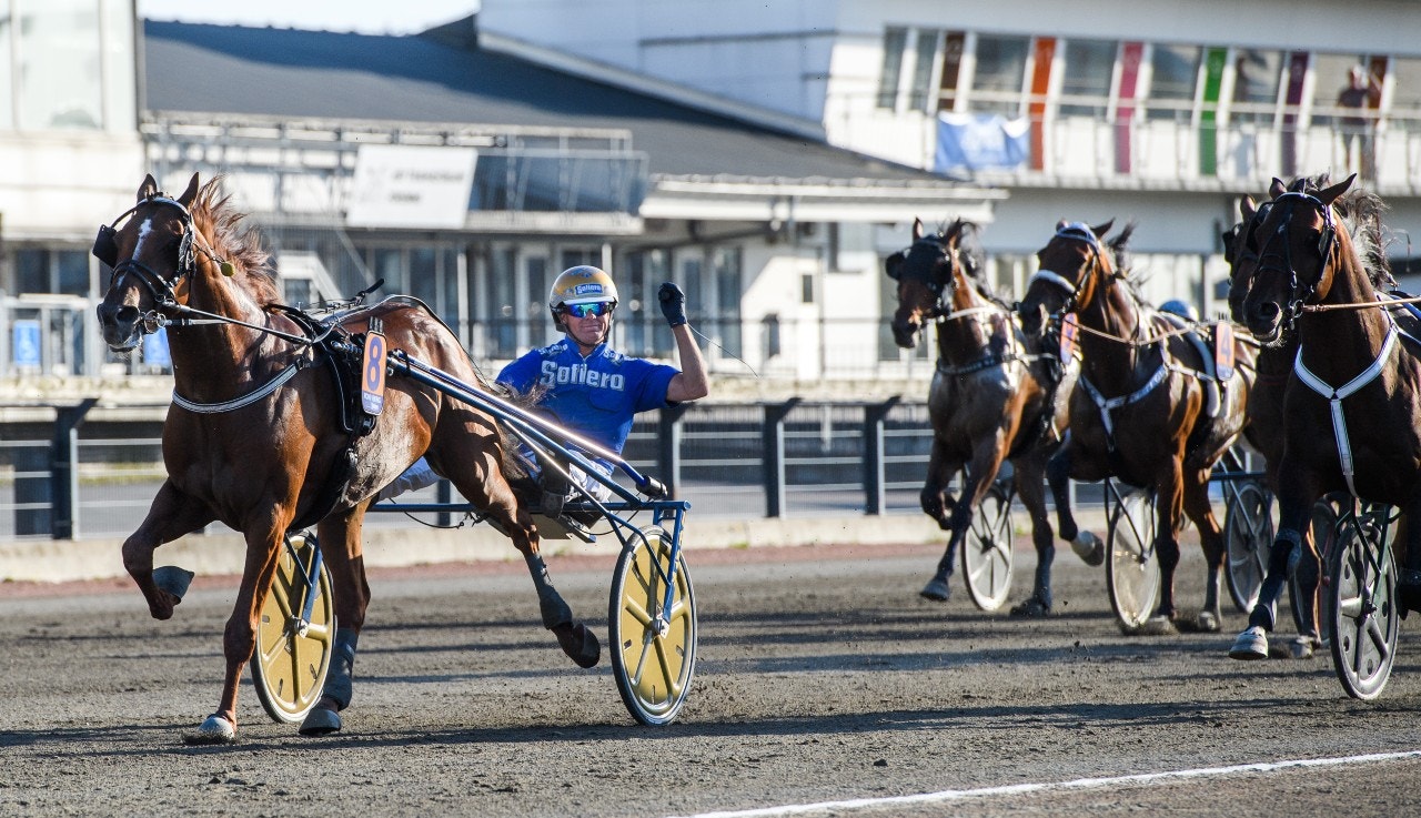 Moni Viking är en av hästarna i Prix du Bois de Vincennes. Foto: Daniel Stiller, Bildbyrån