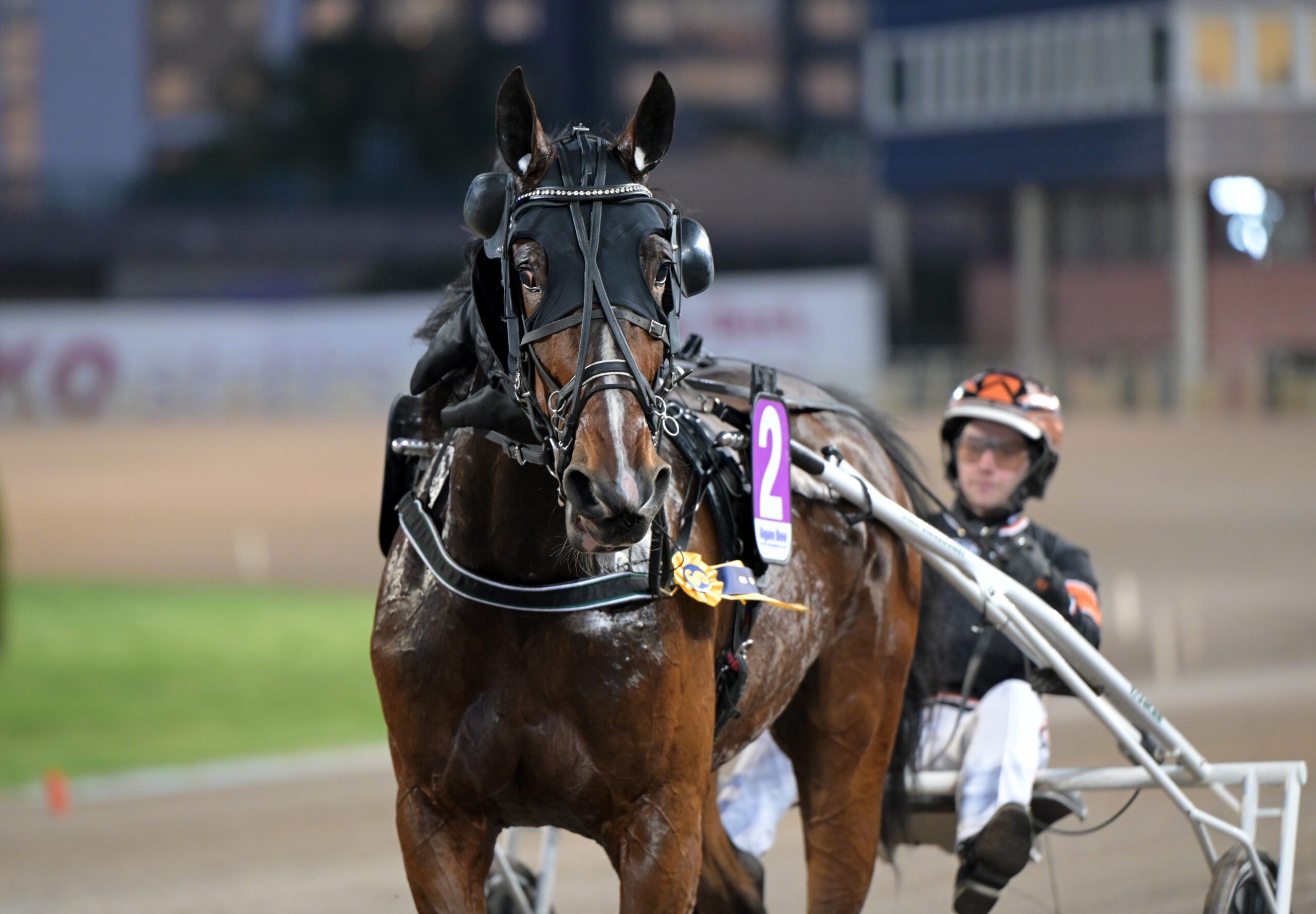 Foto: Lars Jakobsson, TR Bild