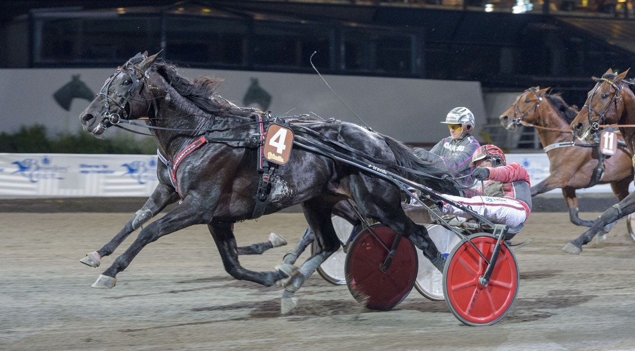 Eskilstuna 8 november: Spelar emot Berghs starka duo