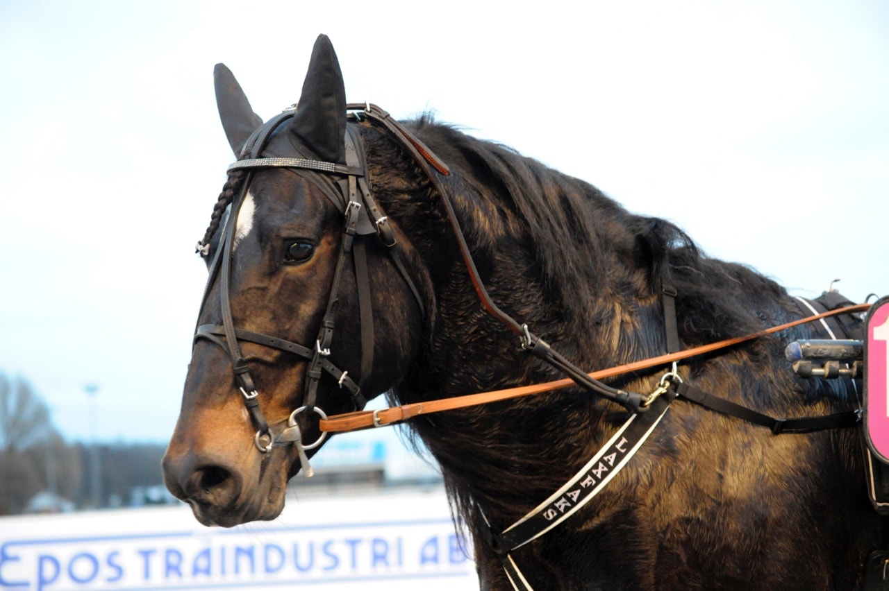 Gamle segermaskinen Laxfaks blir ett av liren på Boden - Foto: ALN