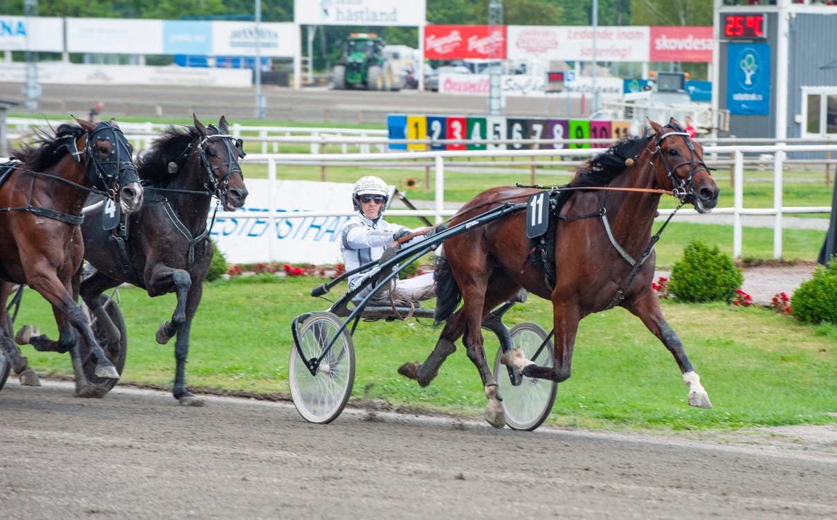 Axevalla 12 maj: Bergh med spännande nyförvärv