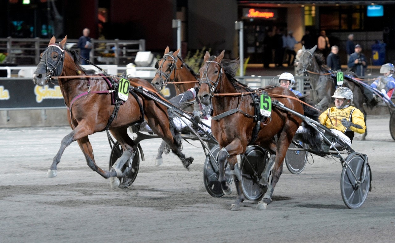Upset Face stod för kvällens prestation då han trots galopp och dödens vann sin uttagning. Foto: Leif Norberg, ALN