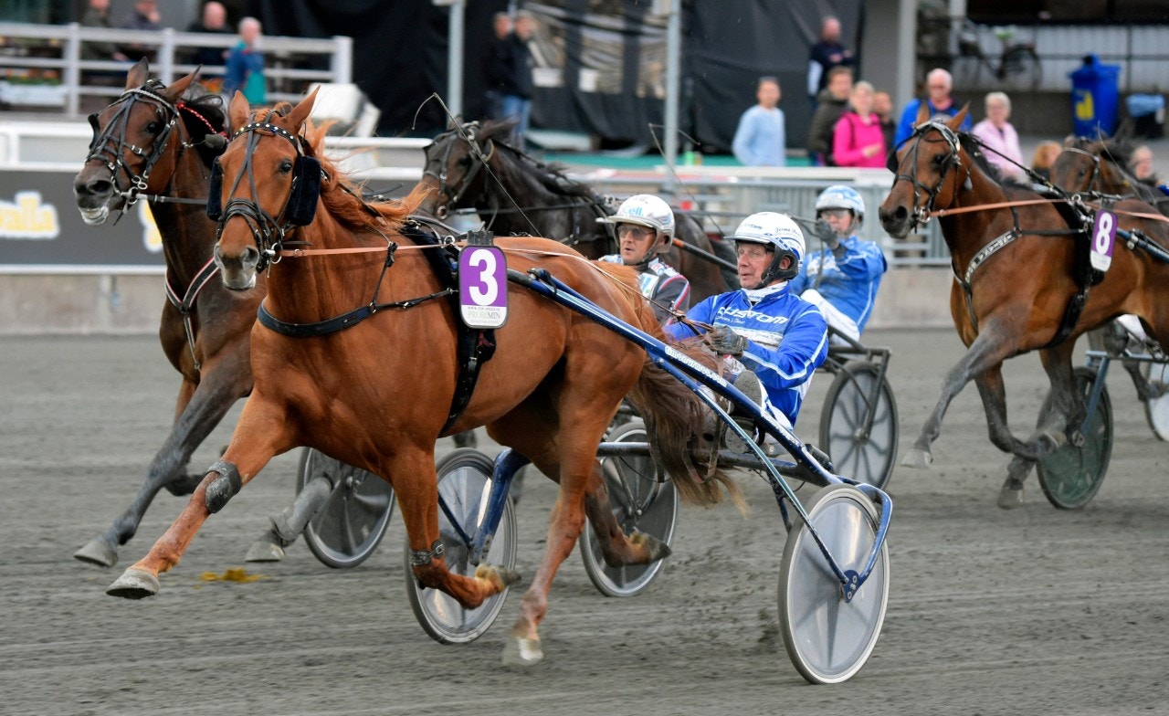 Kan Hankypanky Rubyred ge "Rödluvan" en match - vi tror det. Foto: Martin Langels, ALN