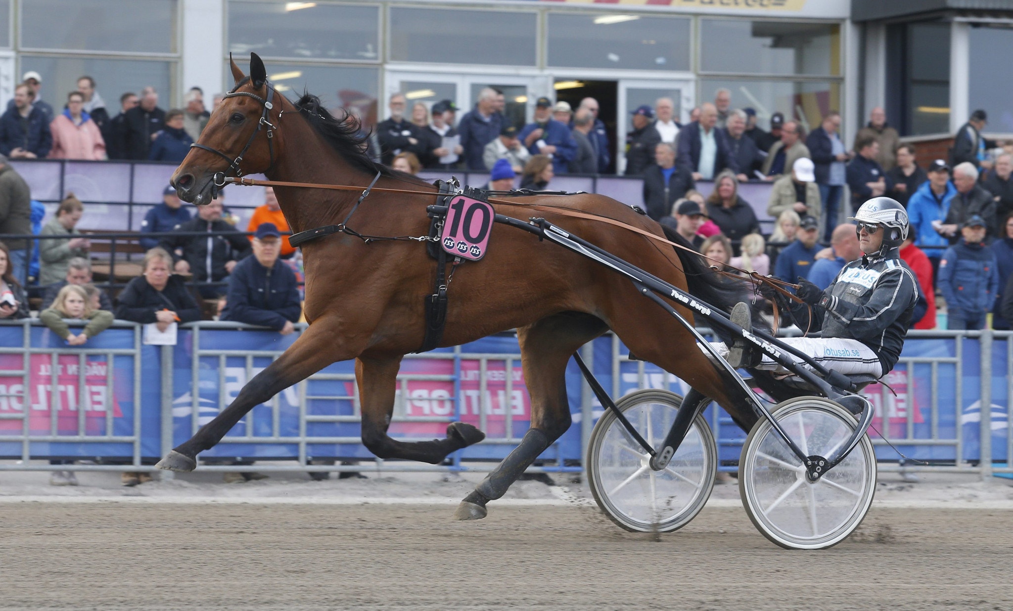 Inför V75: Favoritkollen Mindyourvalue W.F.