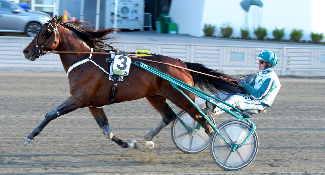 Who's Who går ut i första testet till Jubiluemspokalen - Foto: ALN