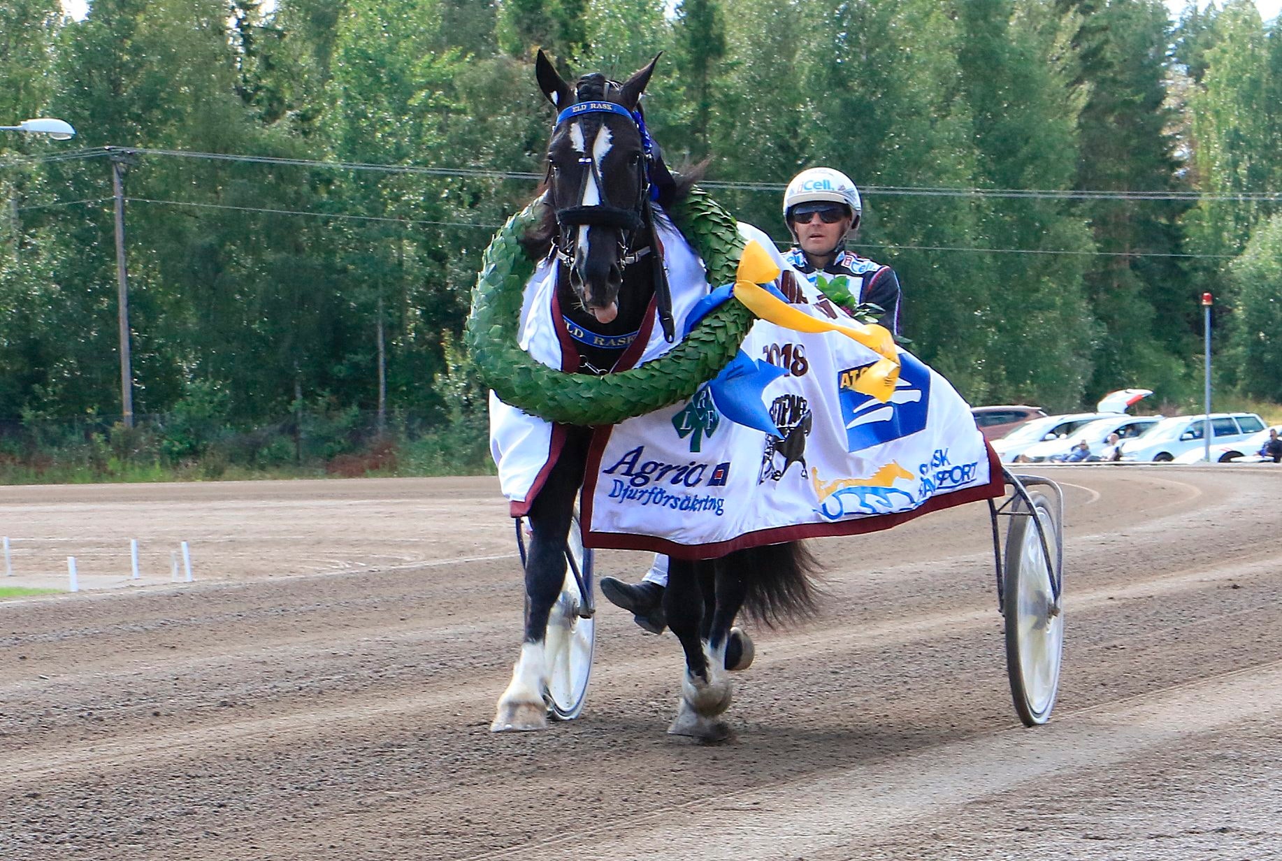 Eld Rask lär sannolikt stå över Derbyt efter en skada. Foto: Johan Brandell, Girlpower/ALN