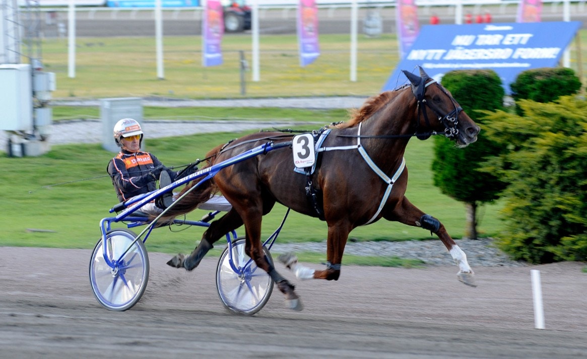 Tomas Malmqvist-tränade Empire blir en hård nöt att knäcka i danska Derbyt. Foto: Jörgen Tufvesson, ALN