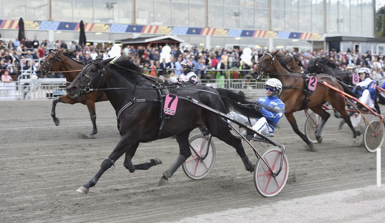 E3-vinnaren slutar - blir avelssto