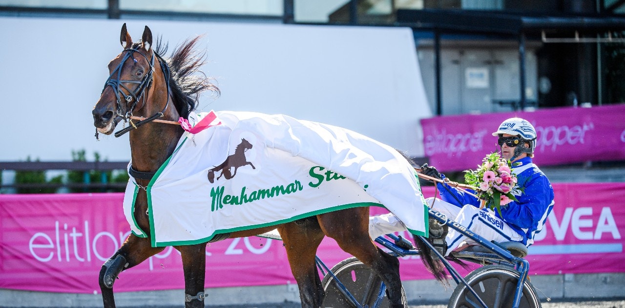 Ecurie D. har fått behandling efter galoppen på Vincennes - men de framtida planerna står fast. Foto: Simon Hastegård, Bildbyrån