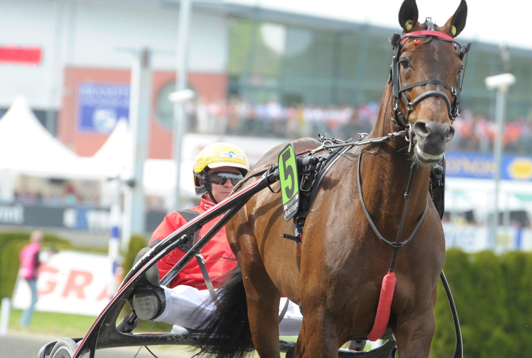 Björn Goop sitter upp bakom Bold Eagle igen när han tar sig an ett tufft motstånd i Prix René Ballière. Foto: ALN