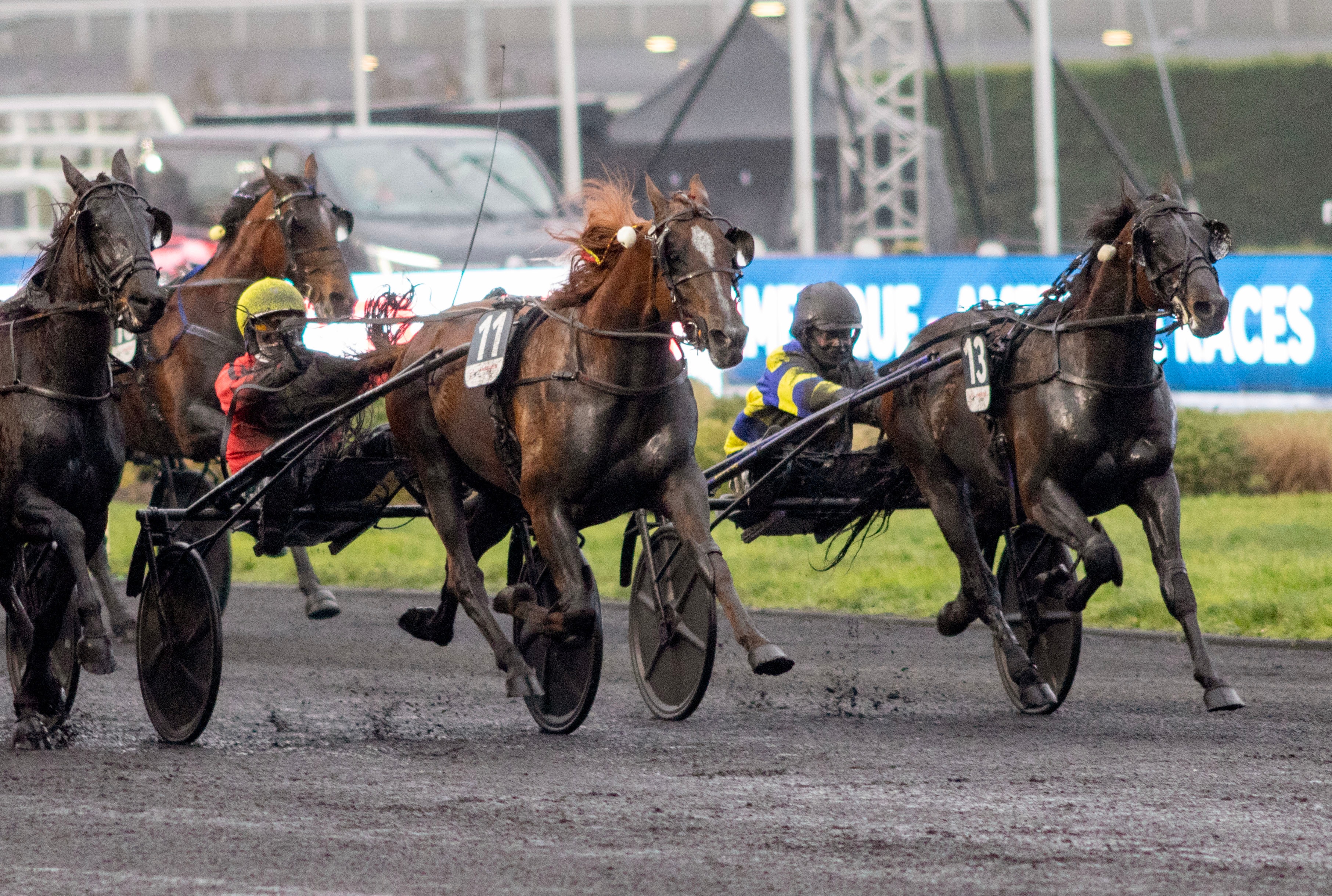 Svenskarna som jagar revansch på Pd'A-vinnaren