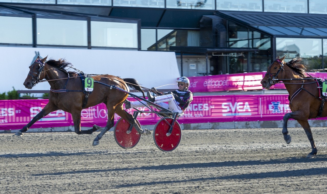 Oblivion flög förbi alla över upploppet. Foto: Tommy Andersson, ALN