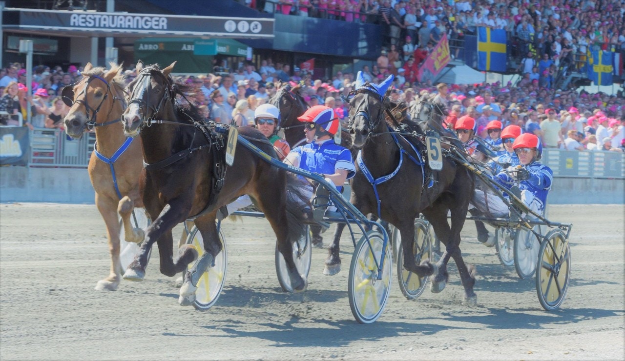 Elitkampen är alltid en av Elitloppets höjdpunkter. I år möts Månprinsen A.M., Polara och fjolårsvinnaren Lome Brage. Foto: ALN