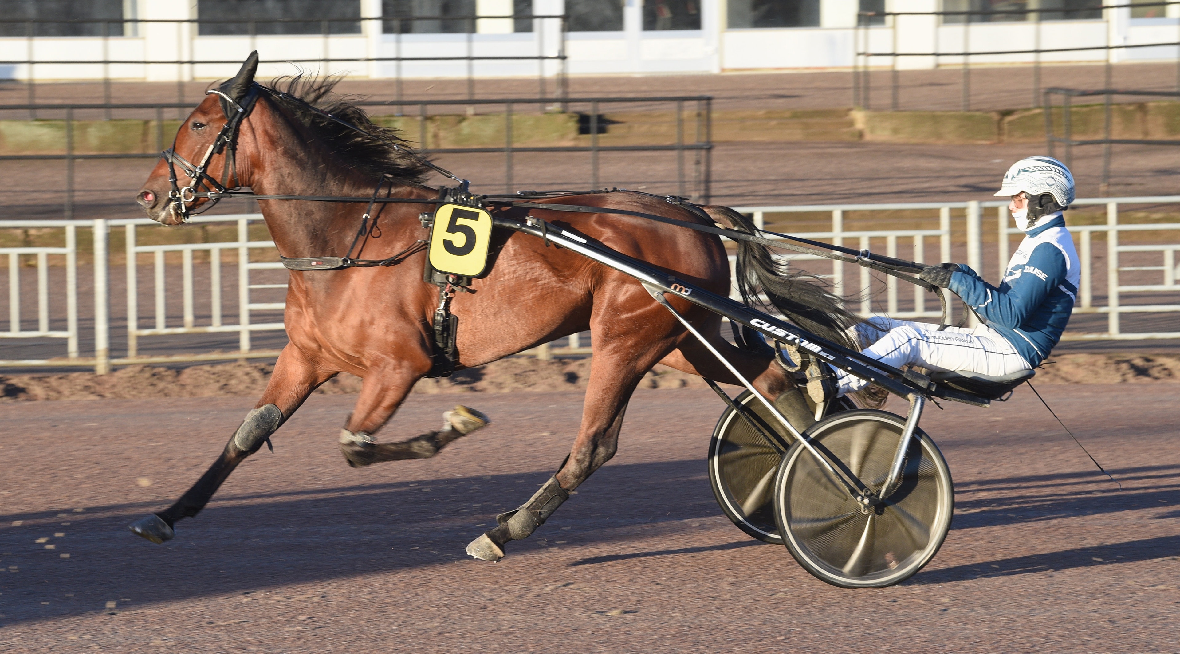 V85-1: Olivers fräcka spik – "fattar ingenting"