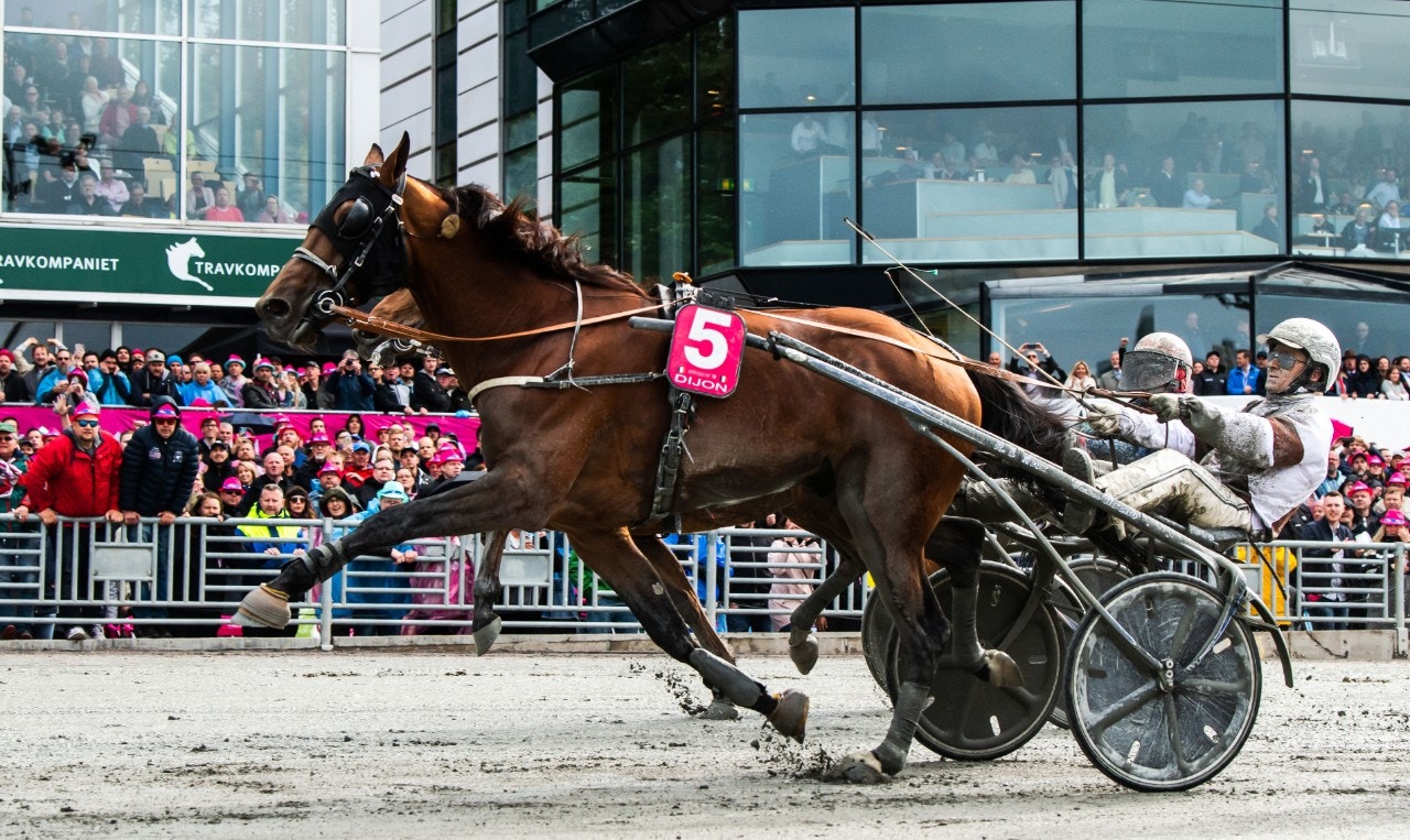 Dijon passerar mållinjen som vinnare i Elitloppet 2019. Foto: Jonathan Näckstrand, Bildbyrån