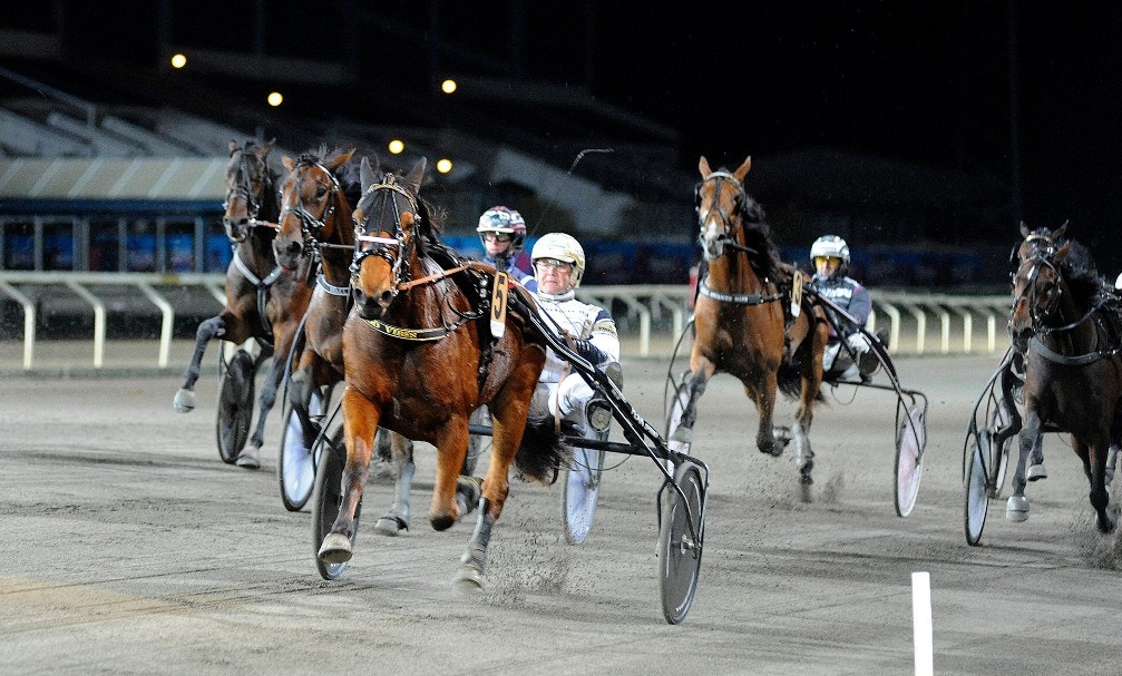 Good Vibes är en av Per Nordströms tre finalister. Foto: Jörgen Tufvesson, ALN