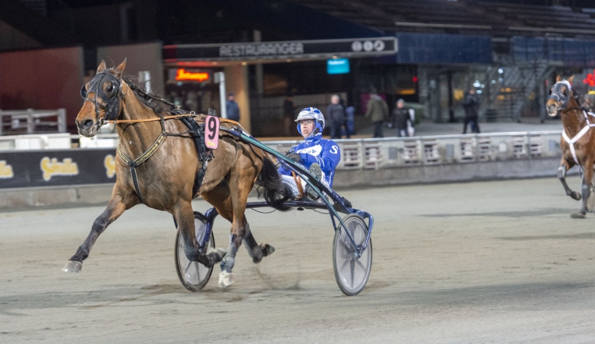Solvalla/Åby: Mäktig comeback av Sir Ratzeputz