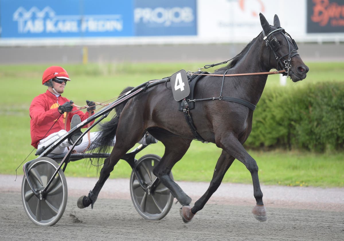 Las Vega Dante Kolgjini