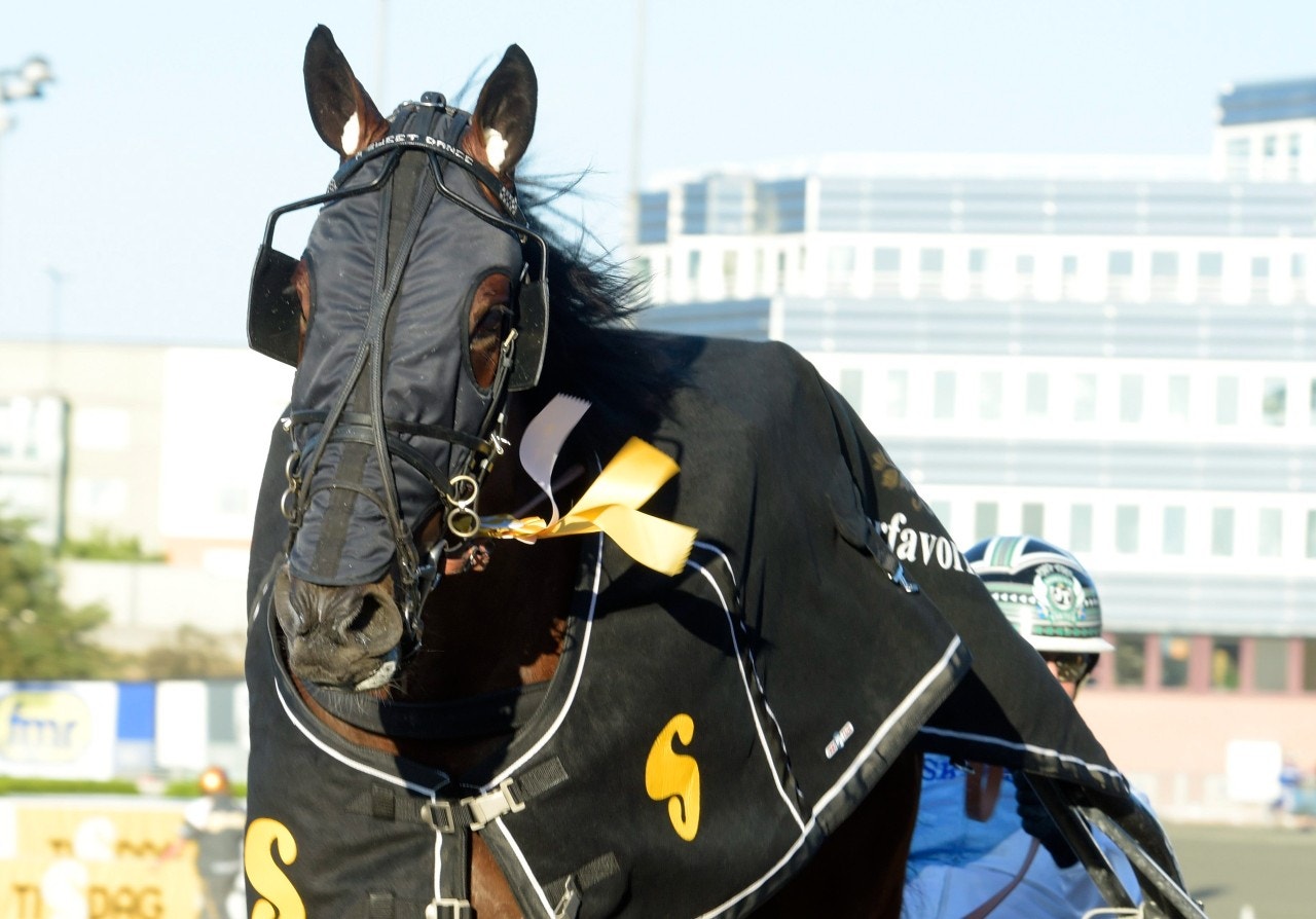 A Sweet Dance vann på PdA-dagen - nu blir det avel