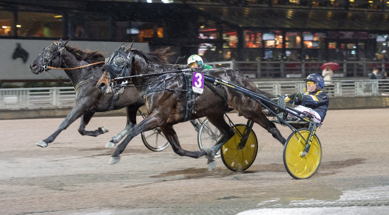 Milligan's School höll undan