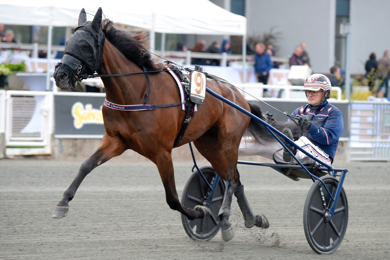 Solvalla 27 oktober: Oscarsson ger klirr i kassan