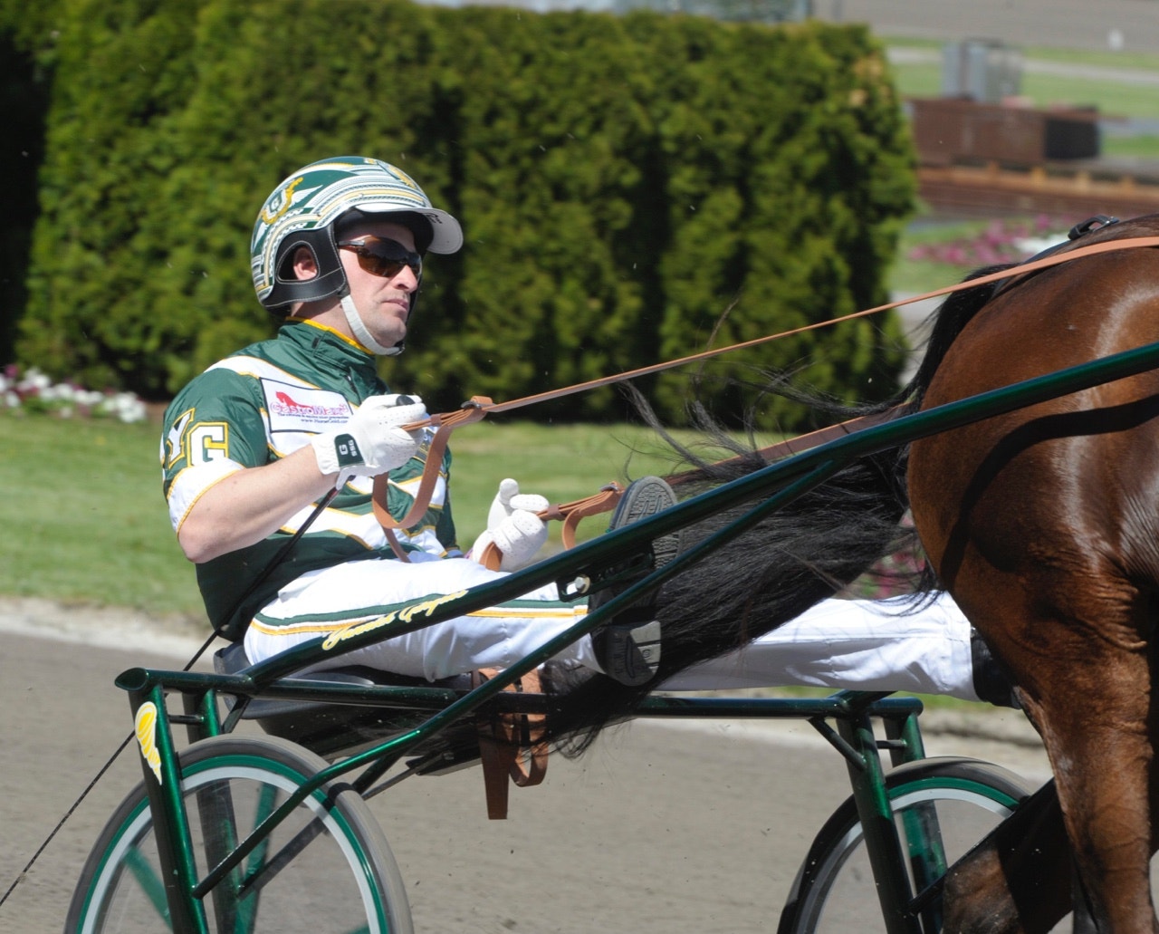Yannick Gingras satt upp bakom både försöksvinnarna i Armbro Flights - Foto: ALN