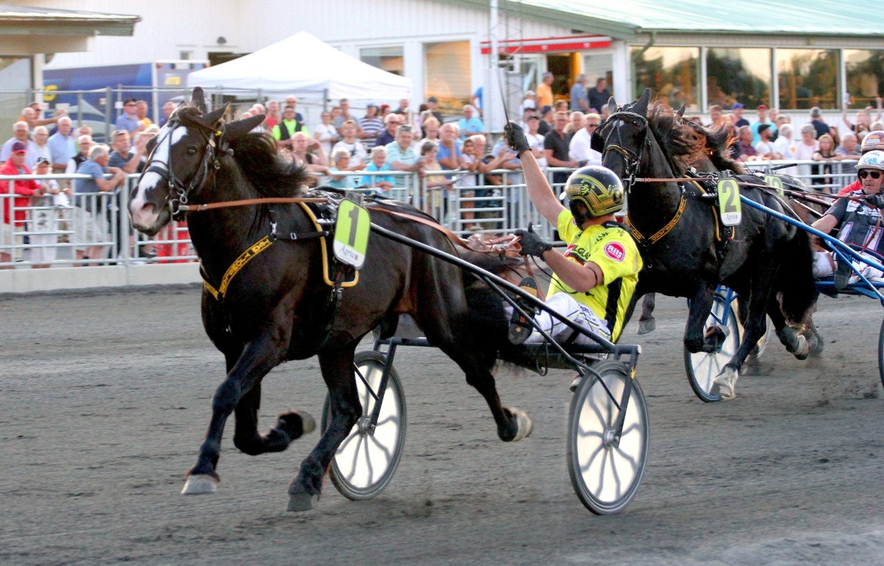 Derbykungen Nordsjö Odin till Bollnäs