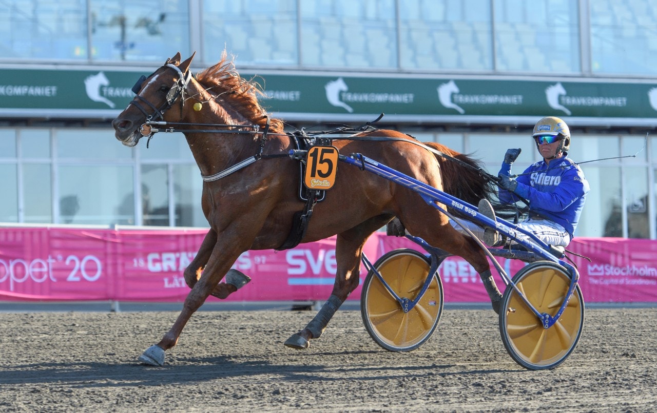Moni Viking vinner Harper Hanovers. Repris i Åby Stora? Foto: Maxim Thore, Bildbyrån