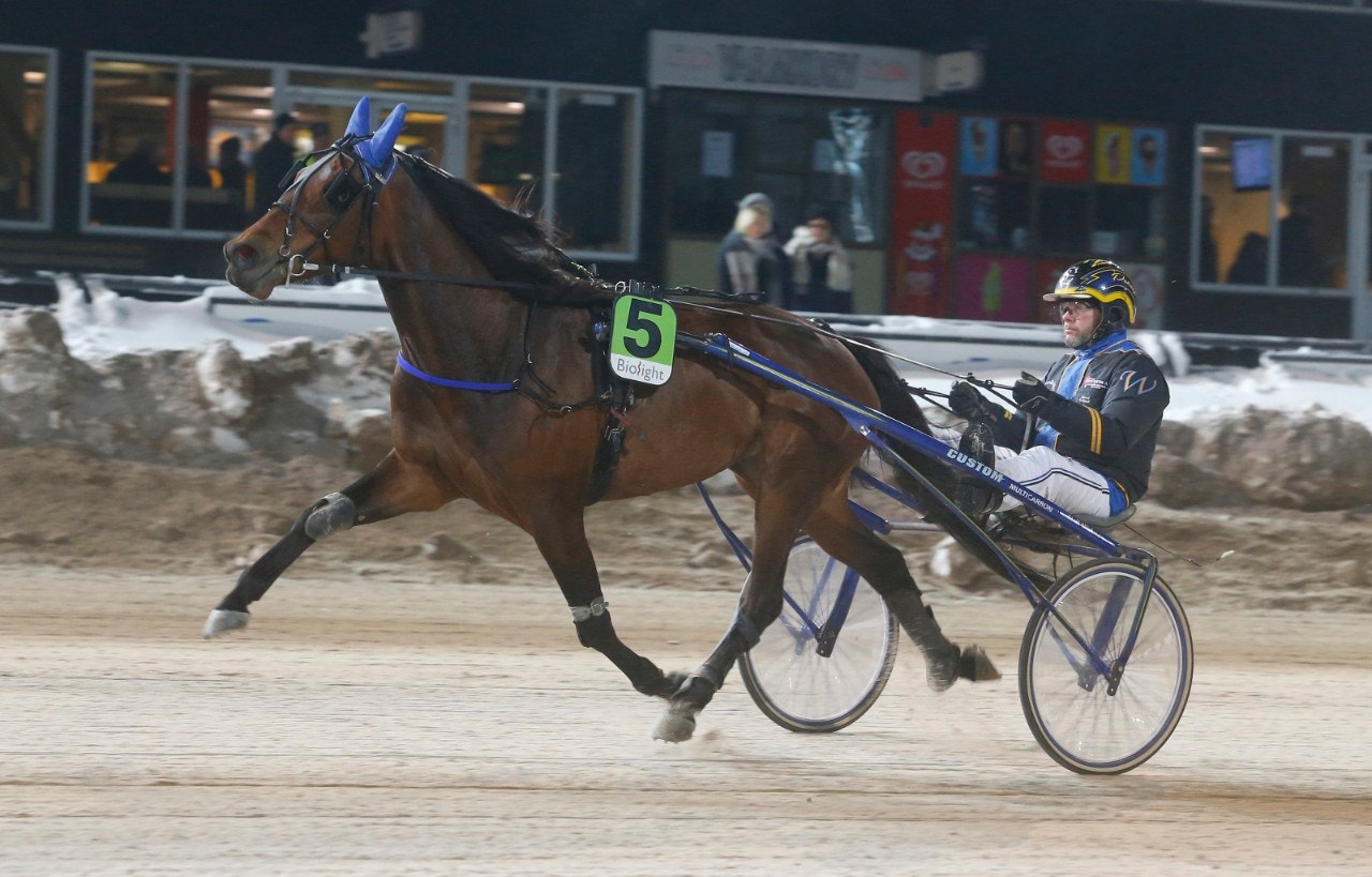 Tragisk olycka på Dannero - hästen dog i loppet