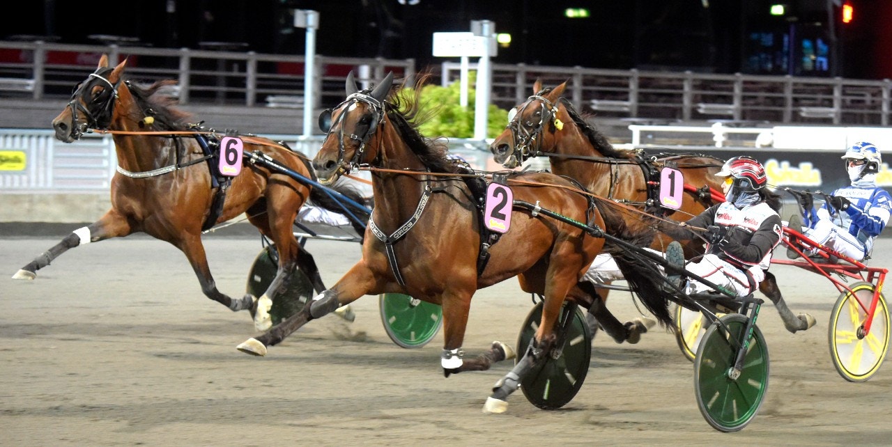 Hevin Boko håller undan för stallkompisen Un Etoile Gar. Foto: Martin Langels, ALN