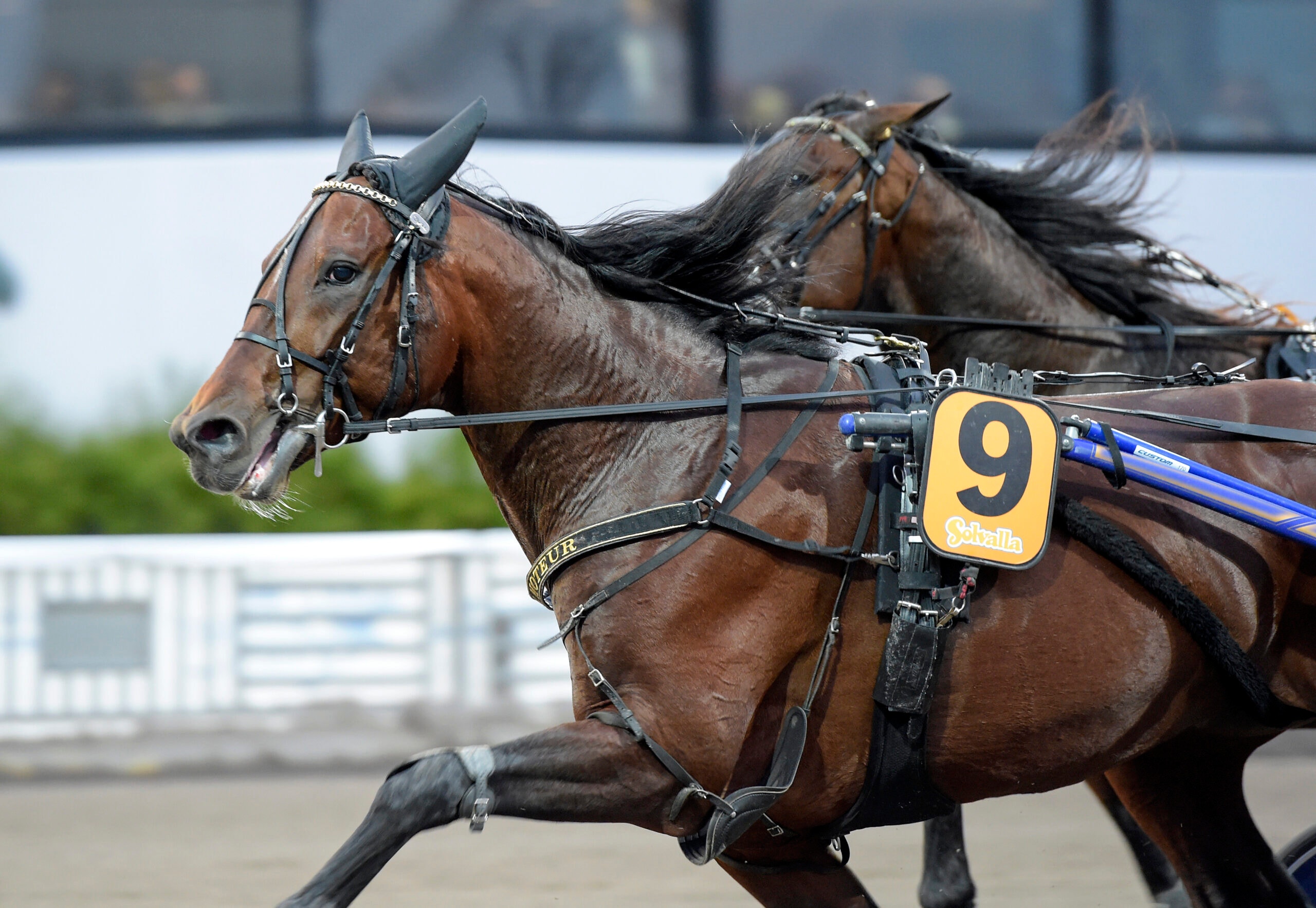Foto: Lars Jakobsson/TR Bild