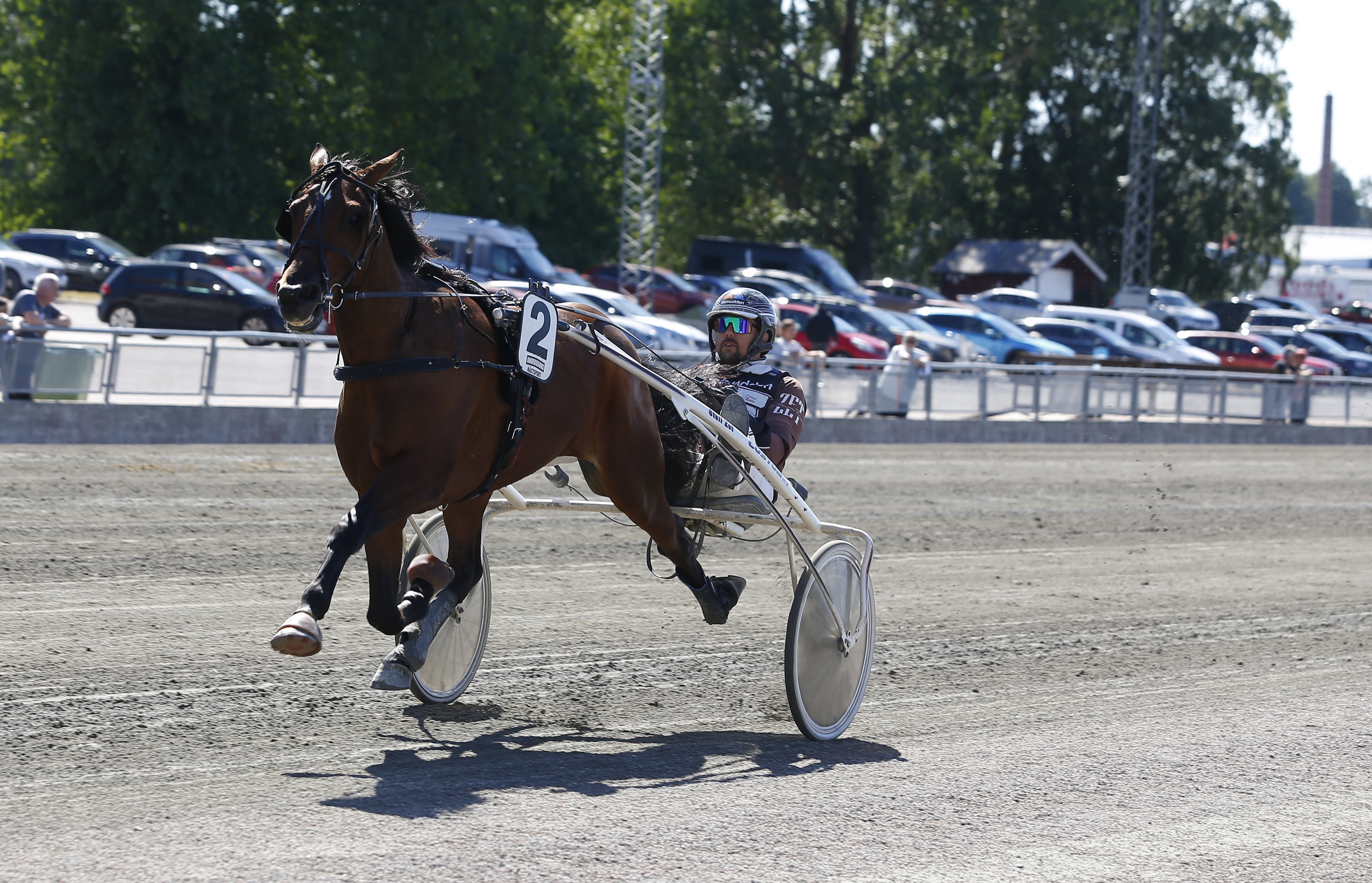 En brun häst som drar en lätt vagn med en kusks under ett travlopp på en sandbana. I bakgrunden syns träd och en parkeringsplats med bilar.