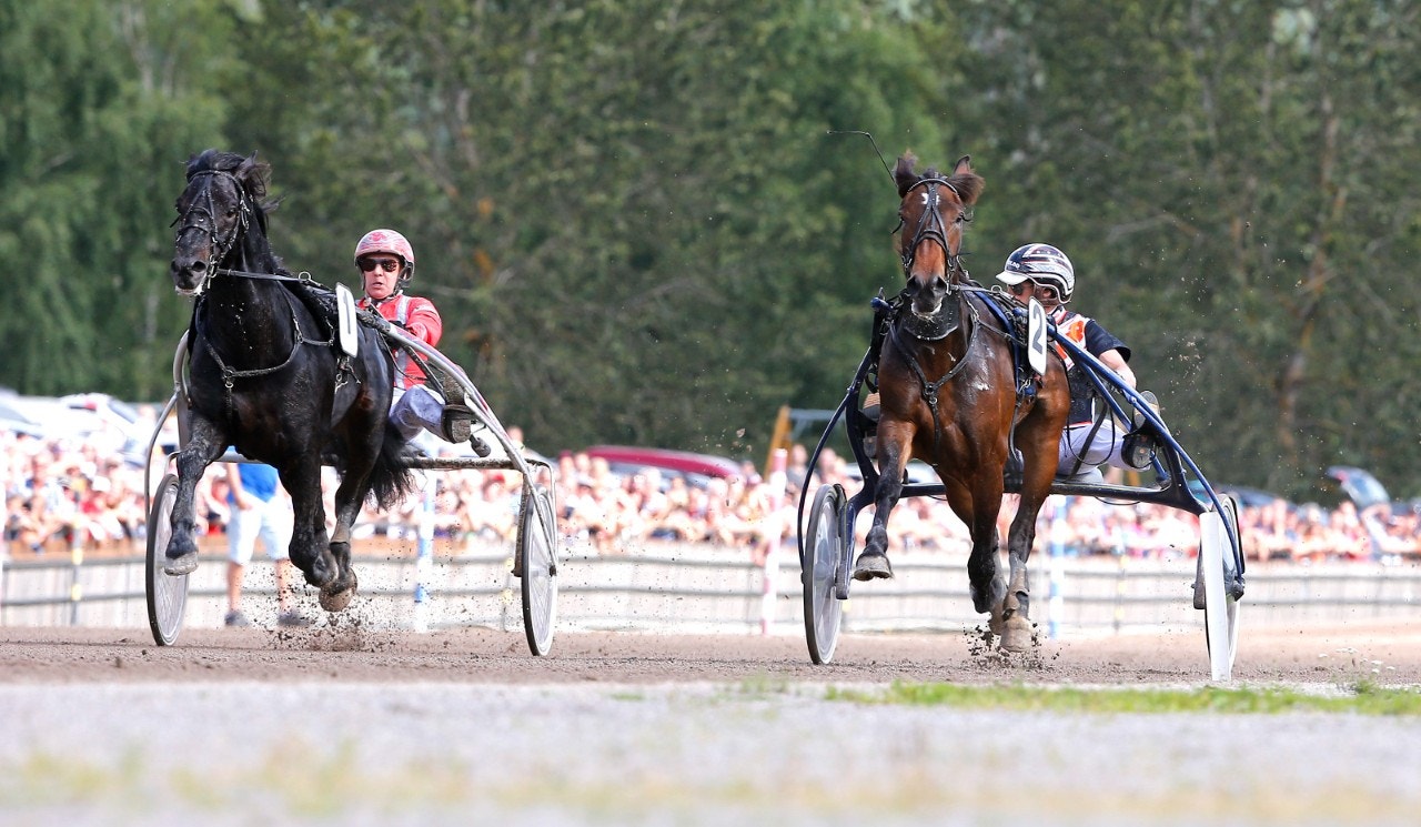 Bollnäs bjuder in till världsrekordsförsök