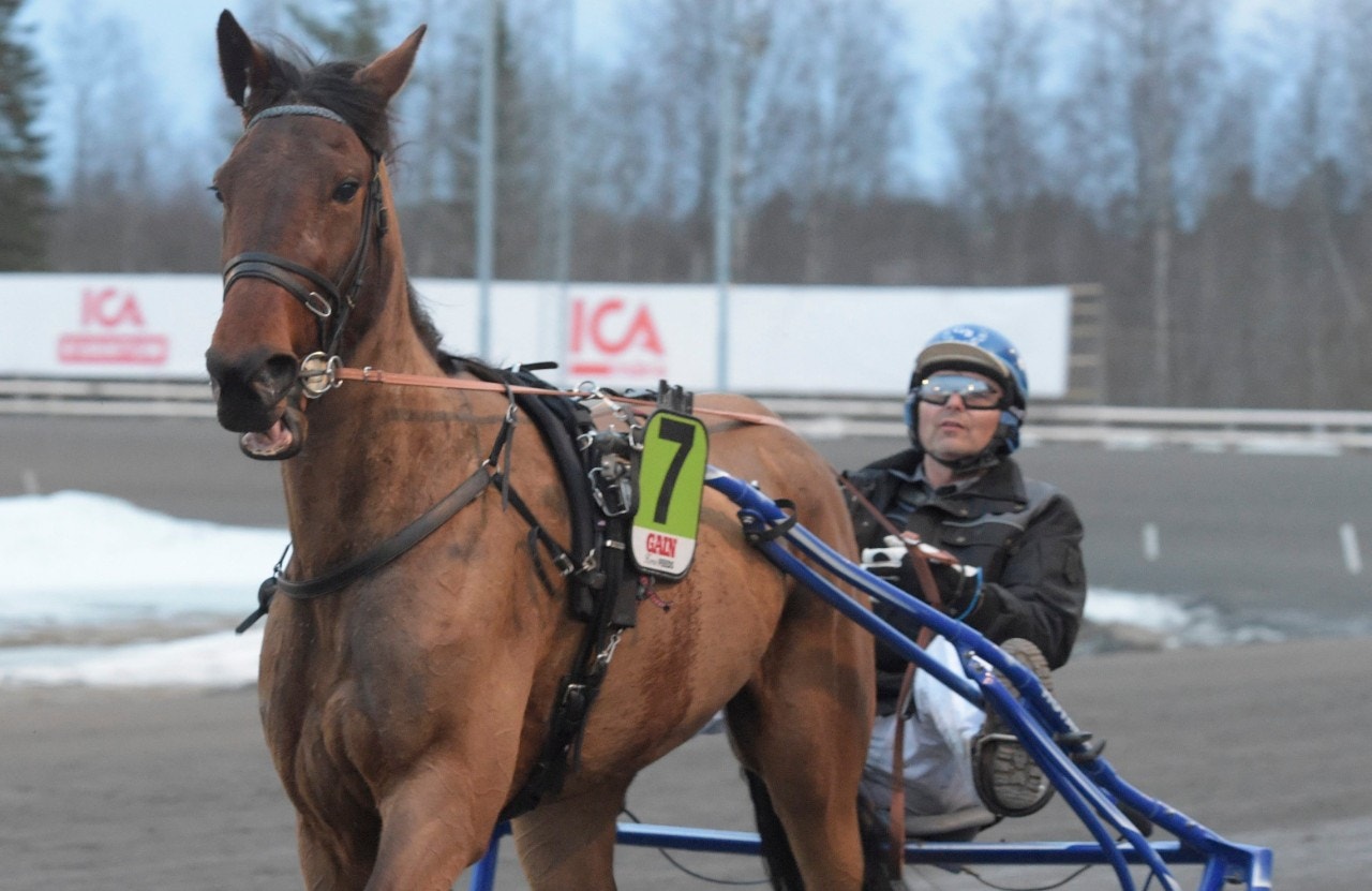 Boden 26 februari: Höga tankar om och hos Bertilsson