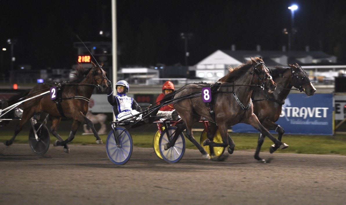 From the Mine plockade ned Disco Volante