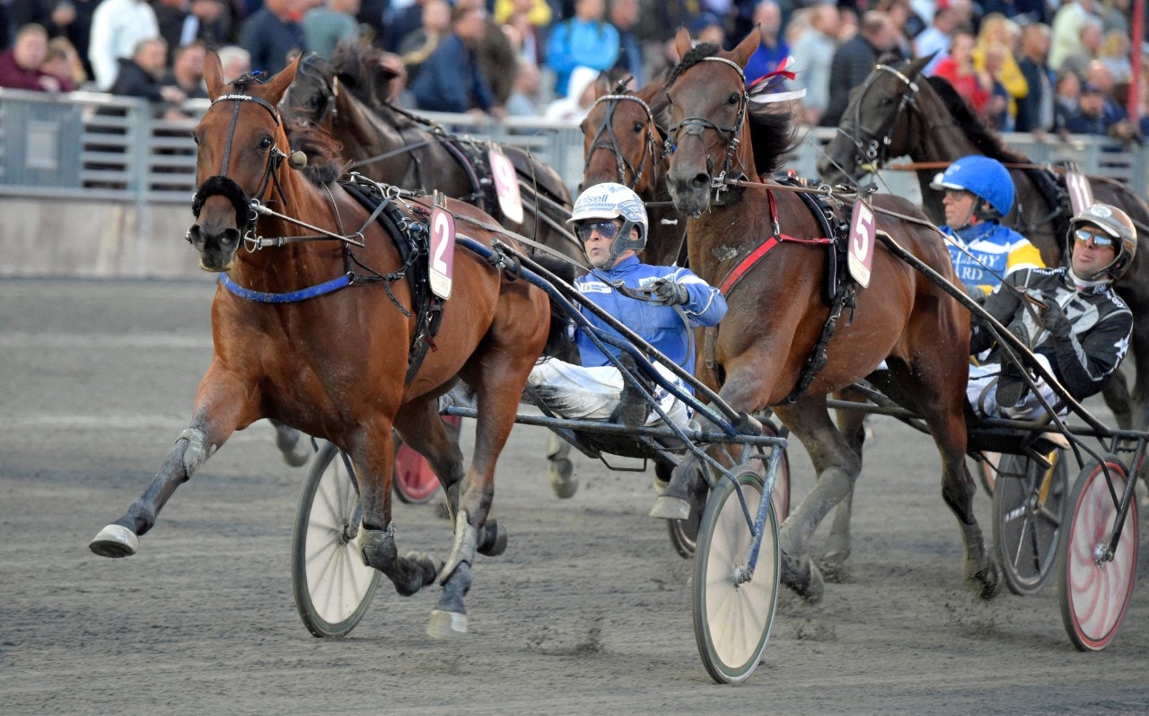 Uza Josselyn siktas mot Critérium de Vitesse - det kan bli stoets sista lopp. Foto: Martin Langels, ALN