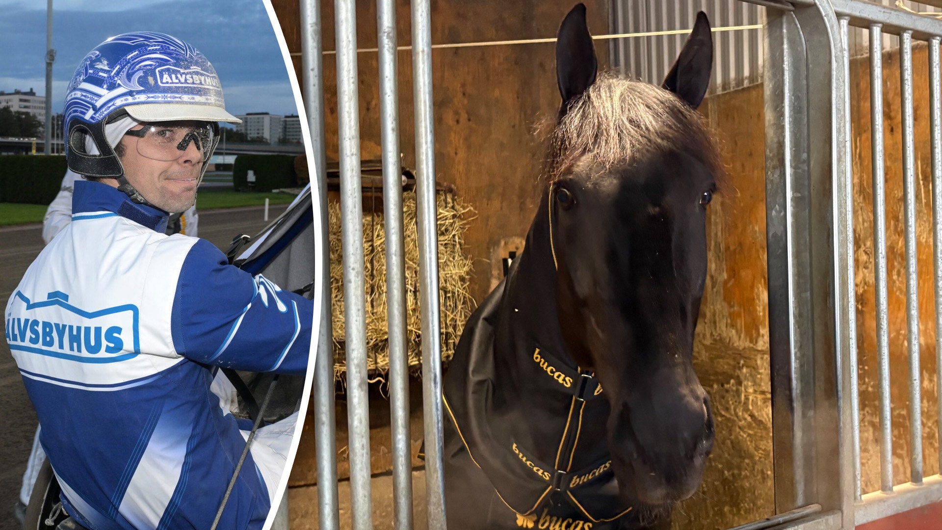 Stjärnan friskförklarad – siktas mot Elitloppet