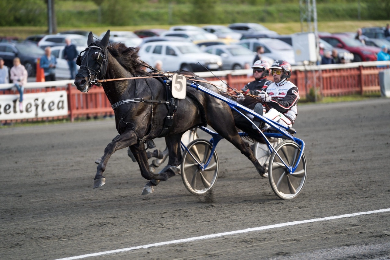Dante Godiva var en av flera imponerande segrare på Umåker - Foto: ALN