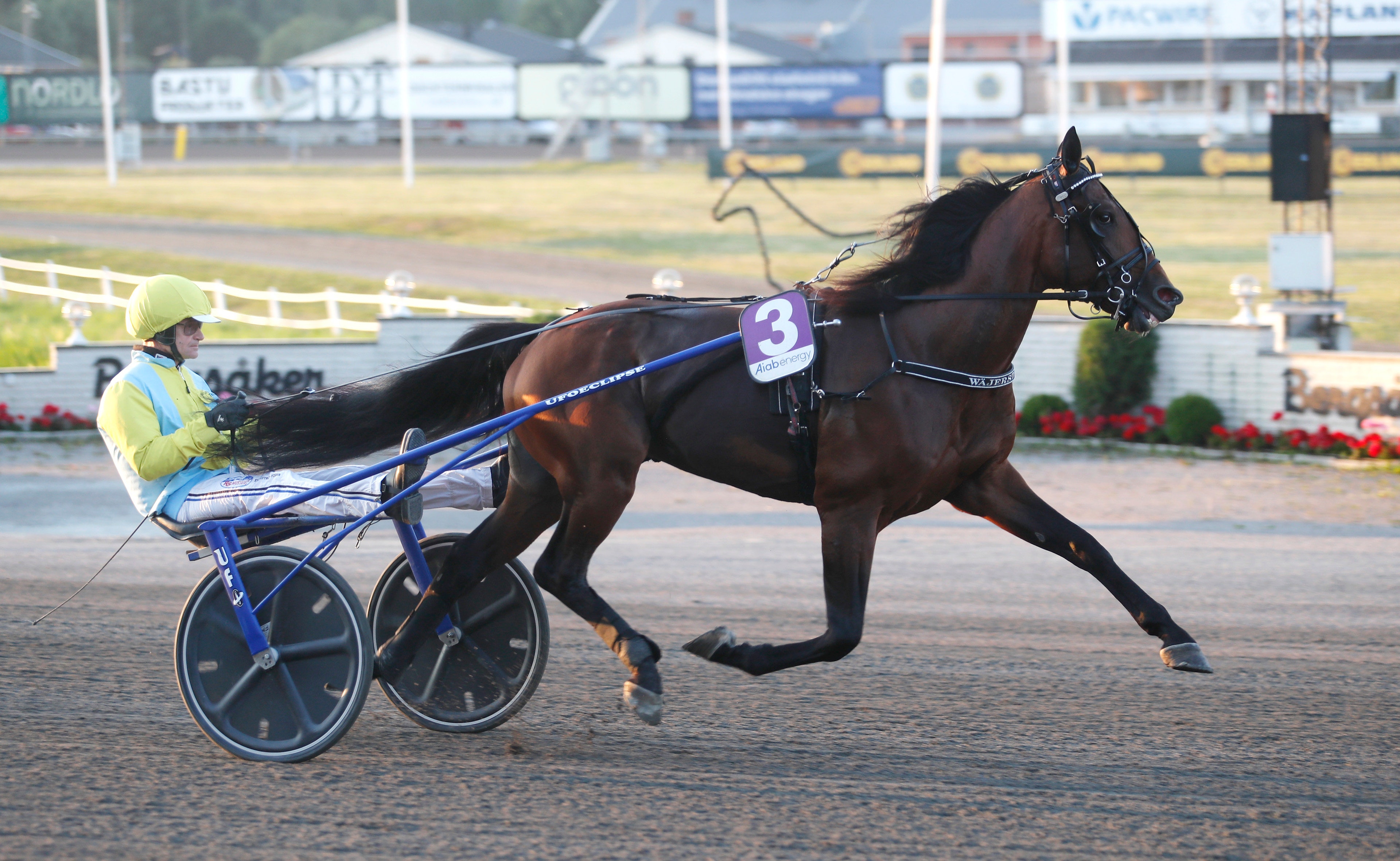 Breeders Crown-finalisten byter tränare efter finalen 