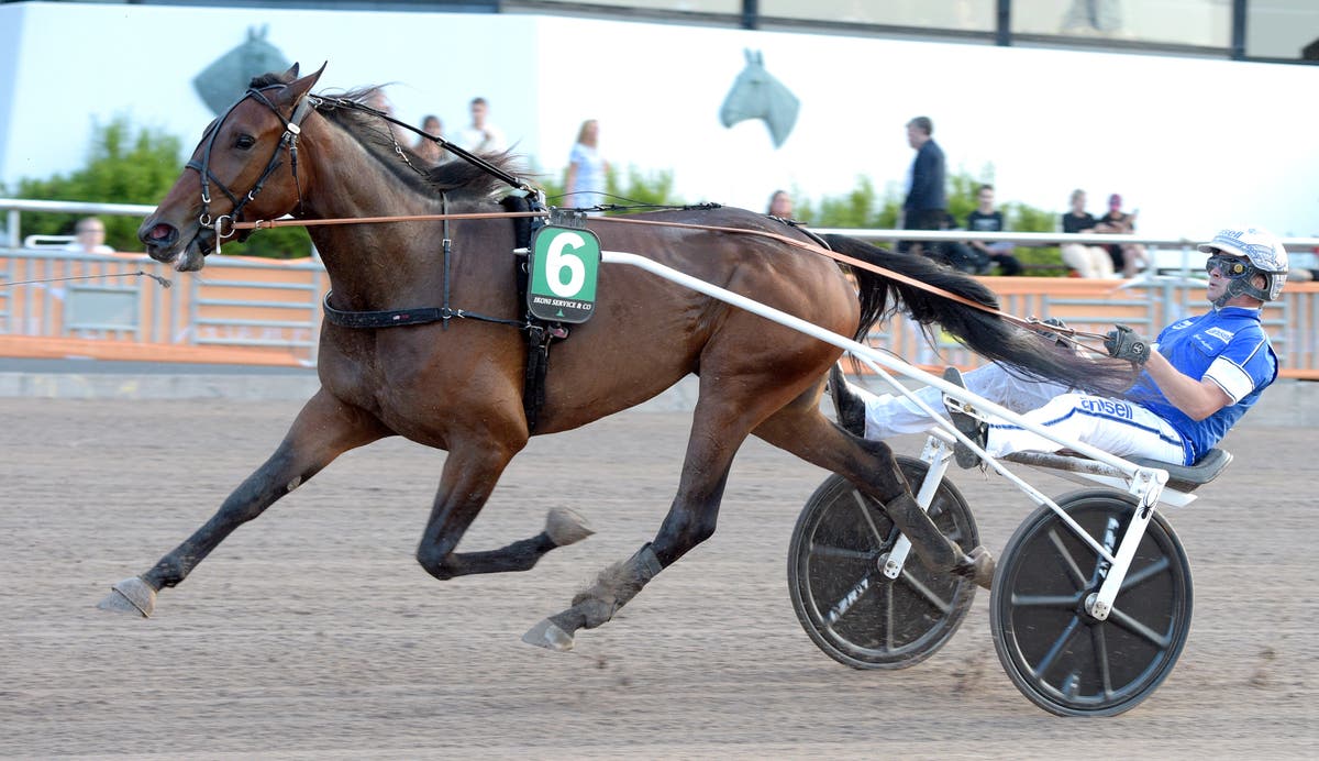 Dixiechick Hanover