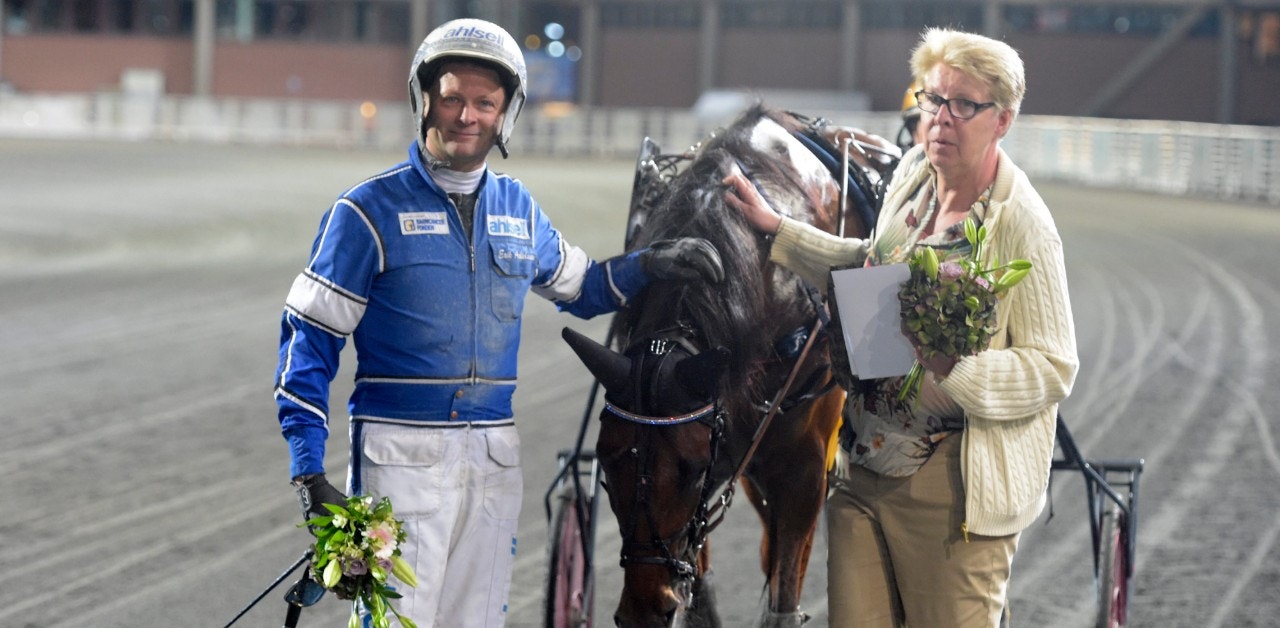 Ti Amo Face är ett intressant bud på Solvalla. Foto: Leif Norberg, ALN