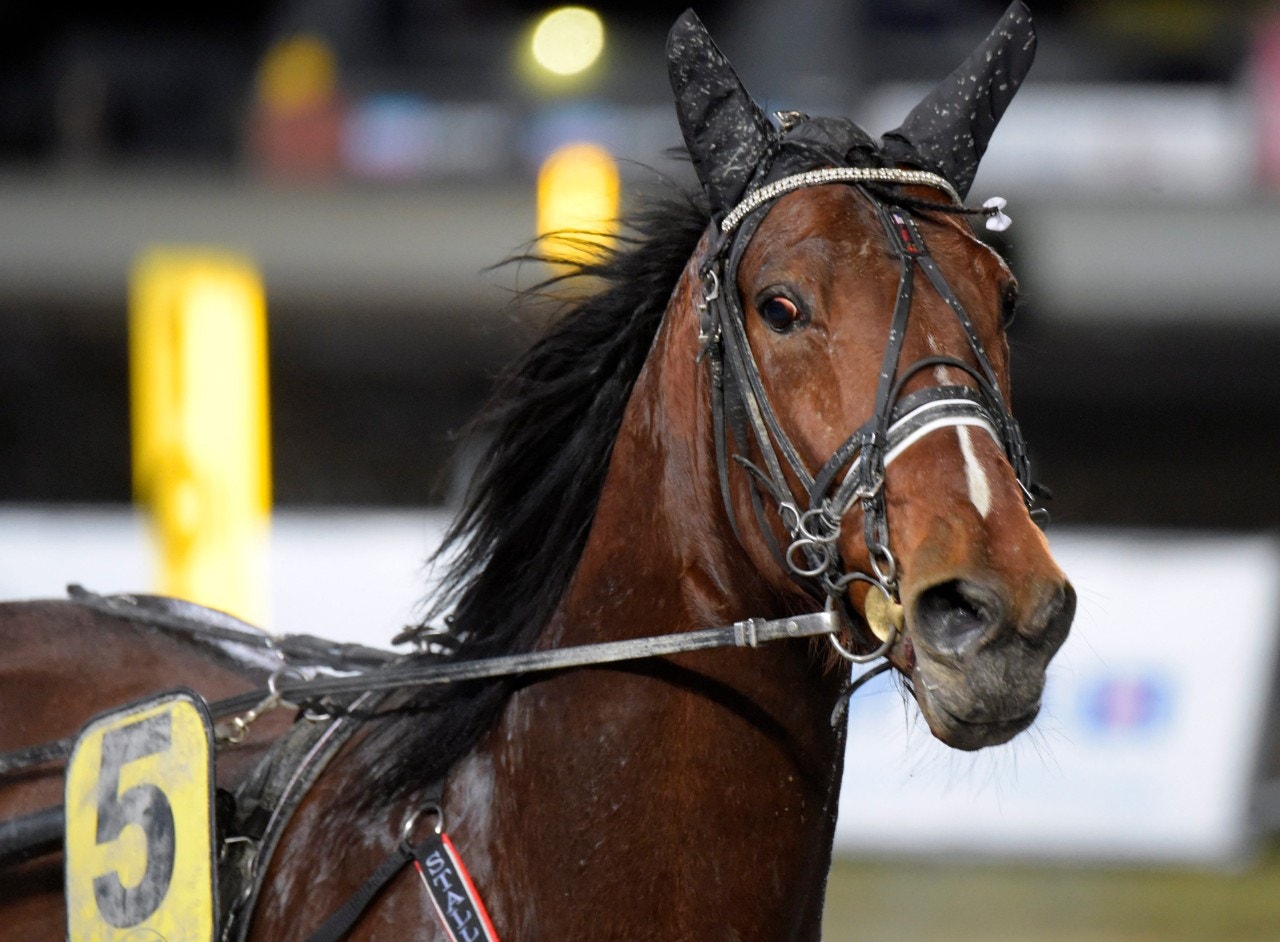 Fighter Mearas - ett bra spel. Foto: Martin Langels, ALN