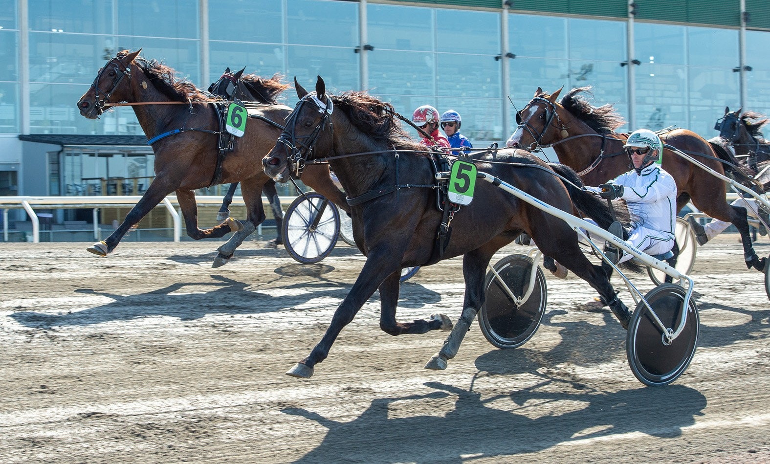 Tycoon Conway Hall en vinnare igen. Foto: Mikael Rosenquist, ALN