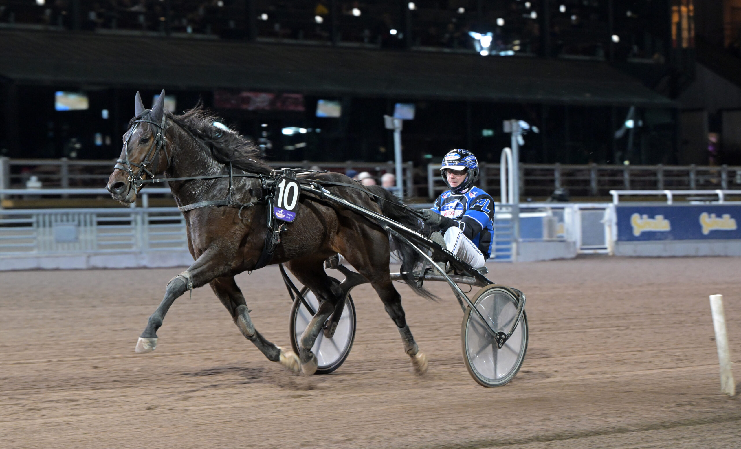 Foto: Lars Jakobsson, TR Bild