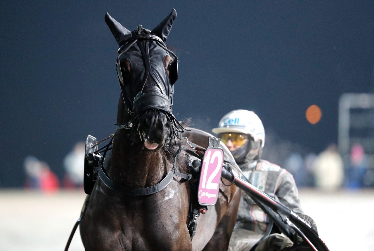 Fortune Mearas vann lätt direkt trots en lång frånvaro. Foto: Micke Gustafsson, ALN