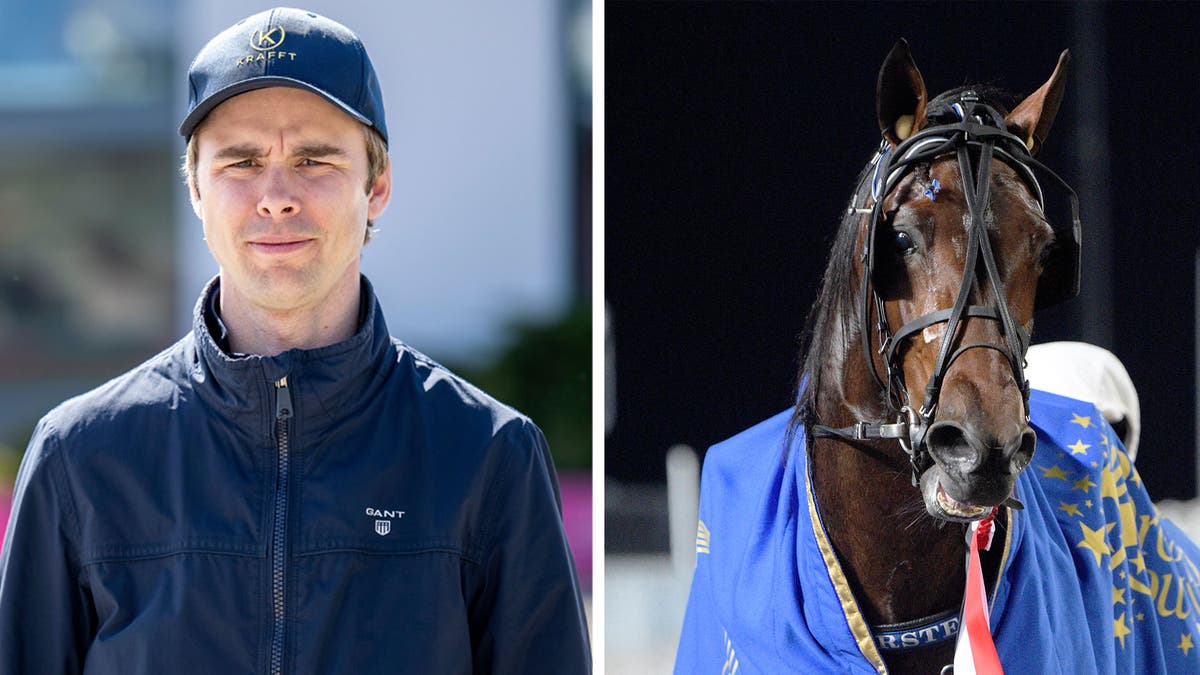 Bullet in the bluesky-wäjersten-frankrike