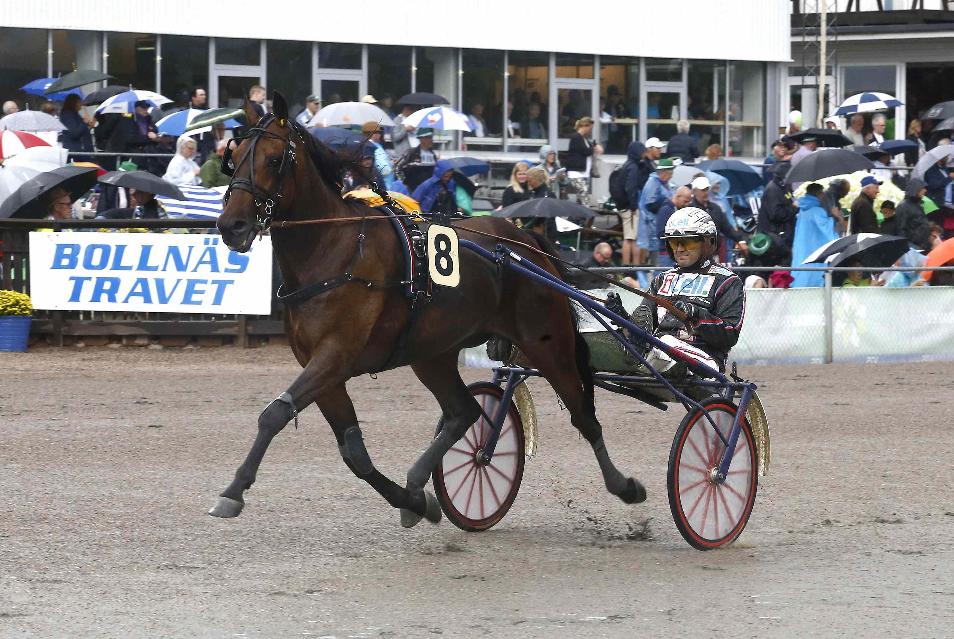 Fem segrar till Ohlsson