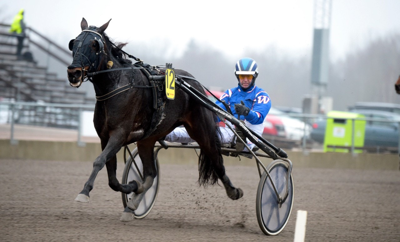 Dusktodawn Sisu är draget i stoloppet. Foto: Martin Langels, ALN