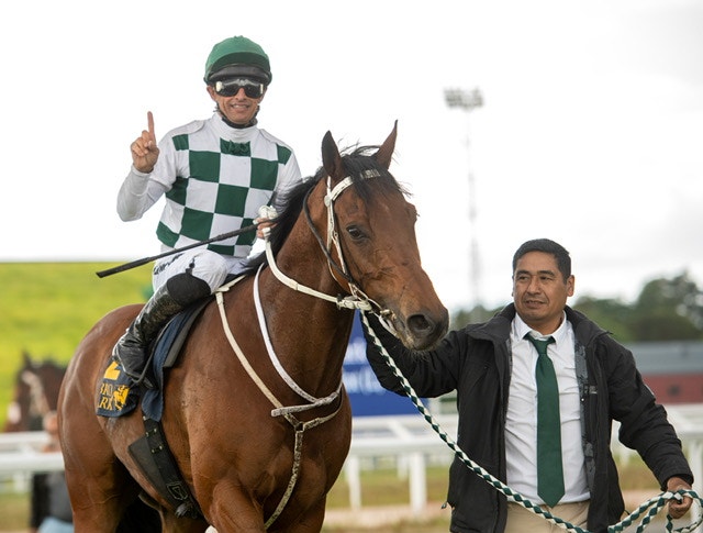 Foto: Elina Björklund / Svensk Galopp
